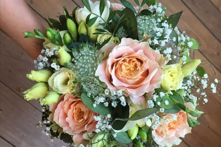 La pensée de Sylva — photo 4