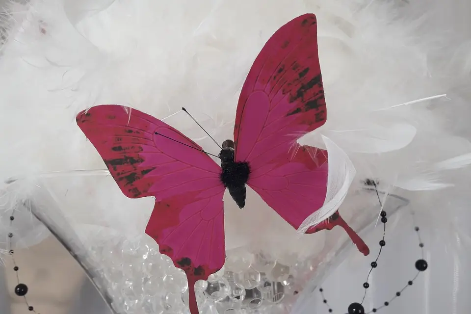 Loc'events 84 — photo 2