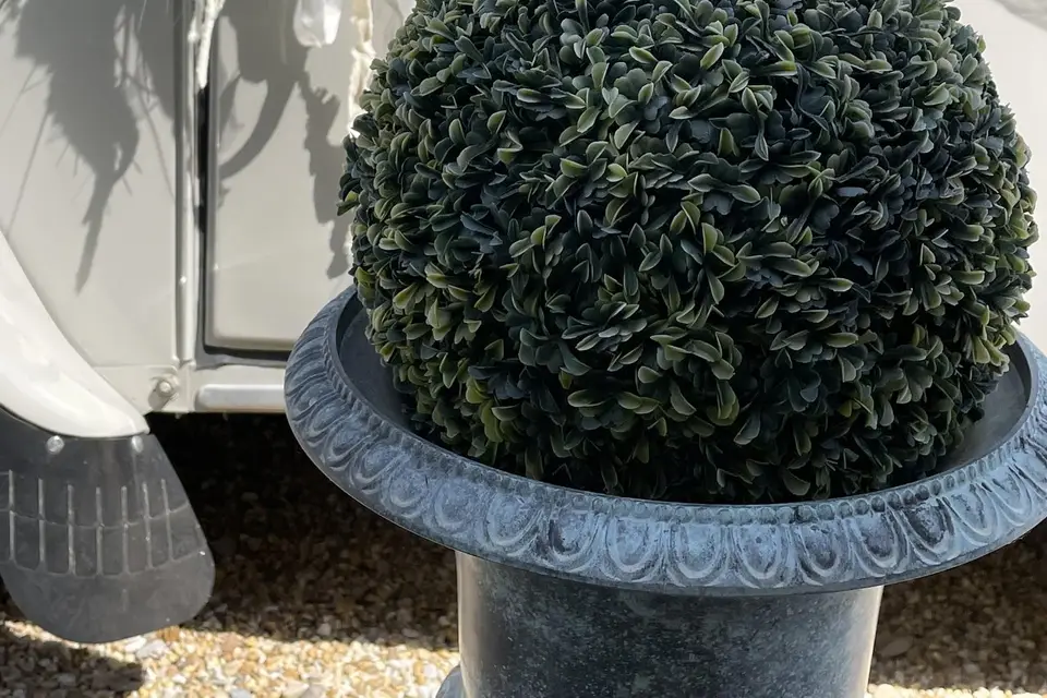 Madame Deuche — photo 7