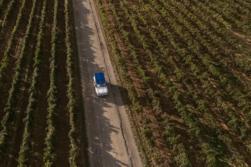 Theo Drollat — photo 7