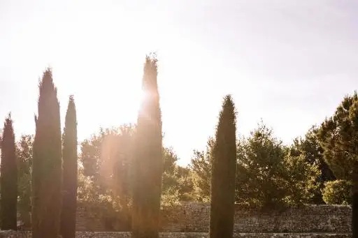 Domaine de La Barbeirasse — photo 3