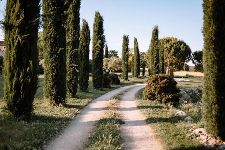 Domaine de La Barbeirasse — photo 6