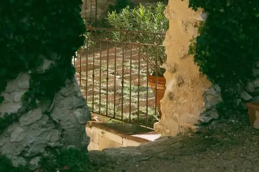 Domaine de La Barbeirasse — photo 7