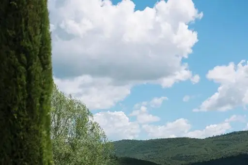 Domaine de La Barbeirasse — photo 9