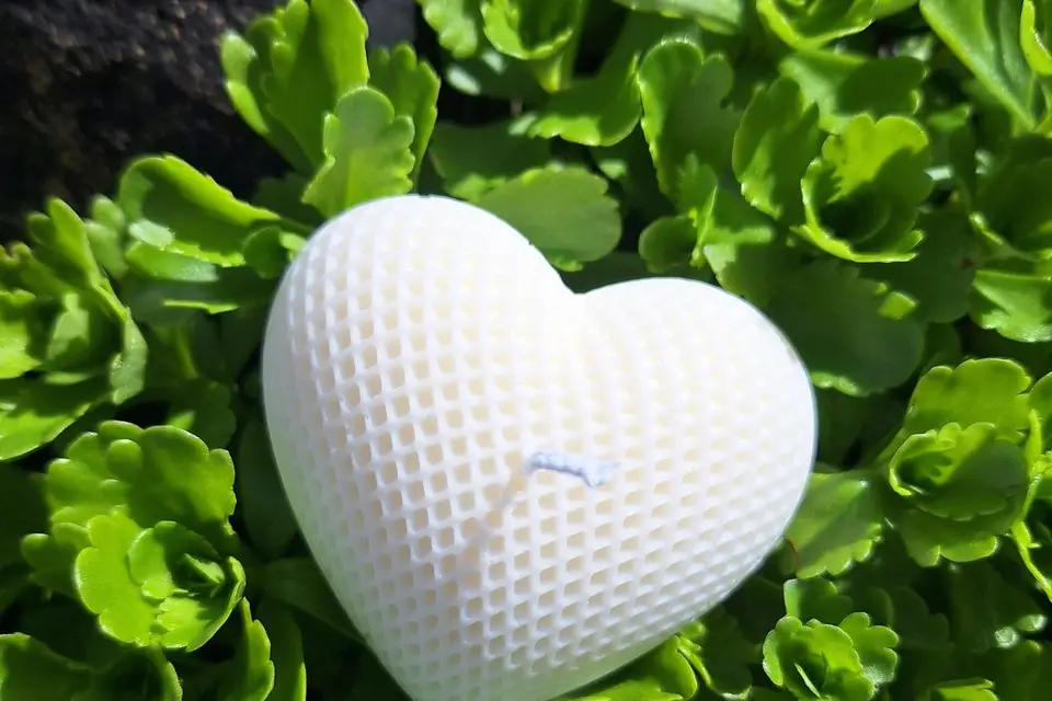 Calidoux — photo 1