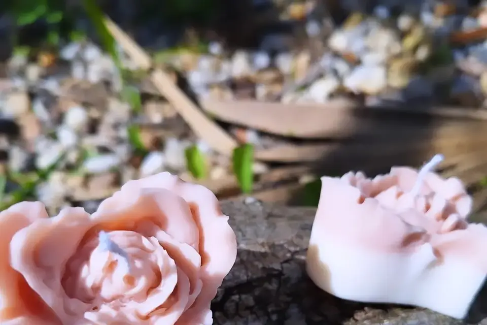 Calidoux — photo 2