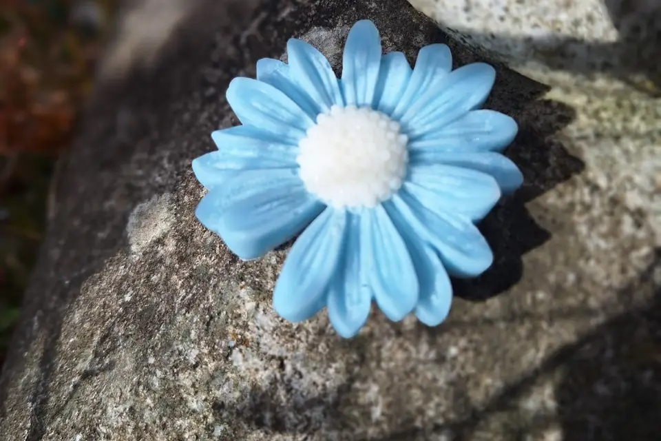 Calidoux — photo 5