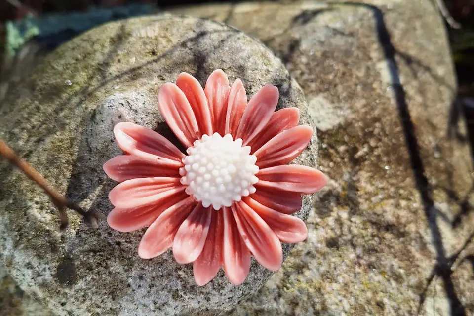 Calidoux — photo 7