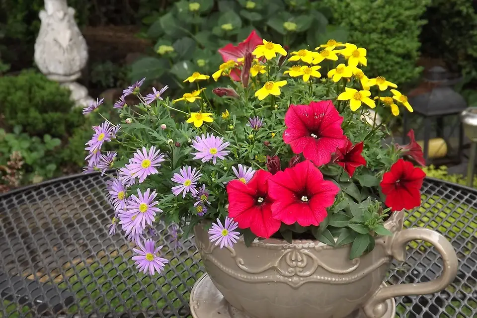 Mel graph design — photo 8