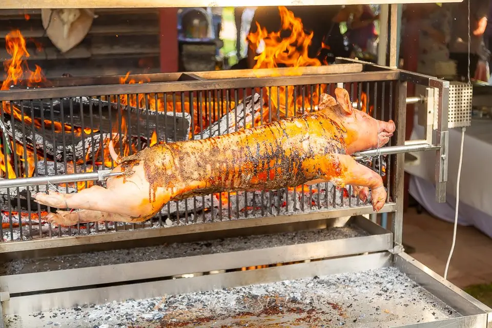 Blue Grass Ranch — photo 7