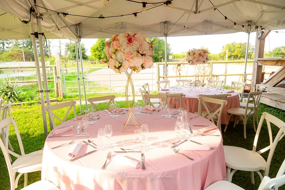 Blue Grass Ranch — photo 1