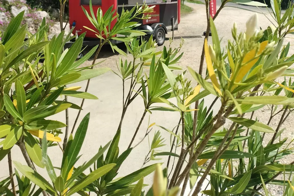 Chouet' Chef — photo 1