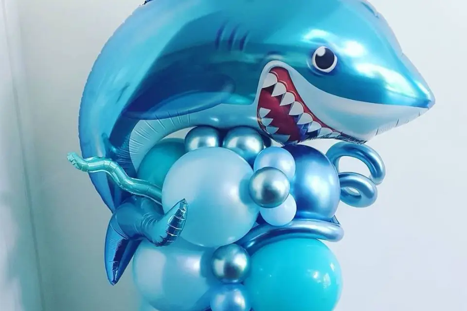 Flûtes et Ballons — photo 6