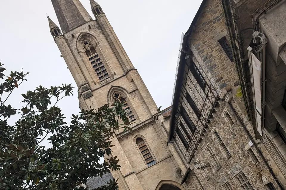 Location Limousine Corrèze — photo 6