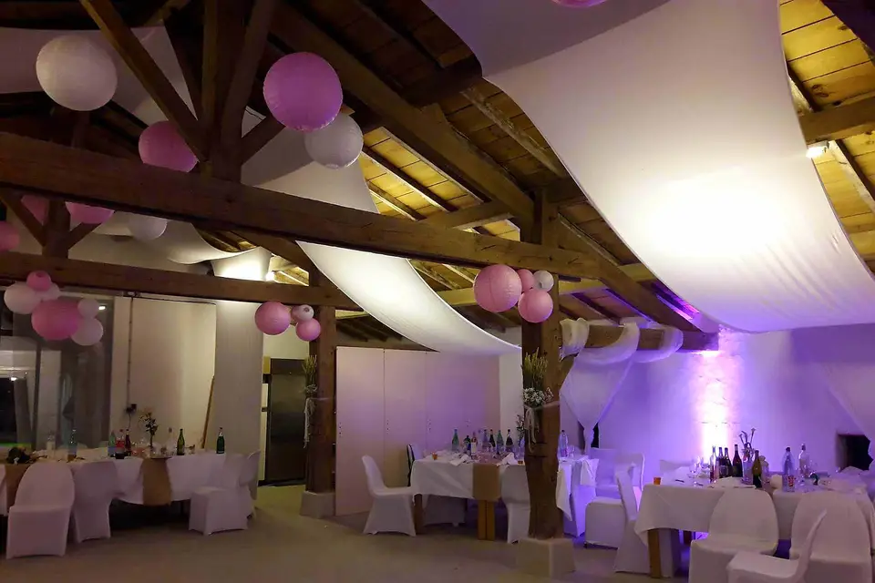 Disting'Son — photo 2