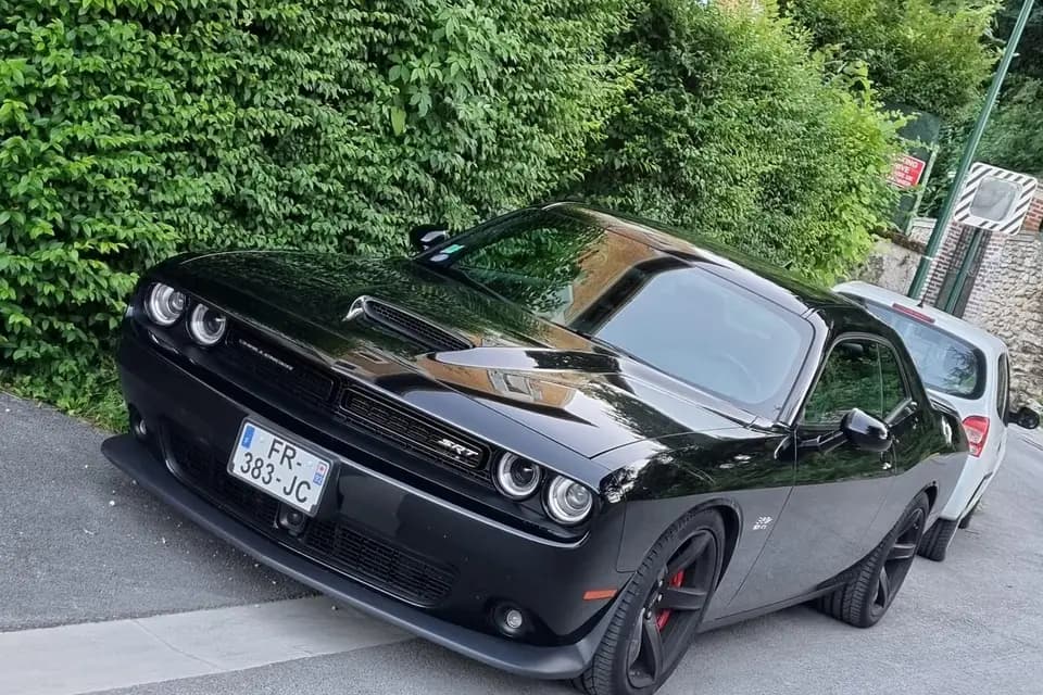 All Stars — photo 4