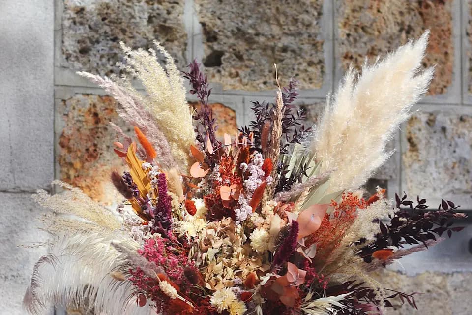 Célestine Morel — photo 4