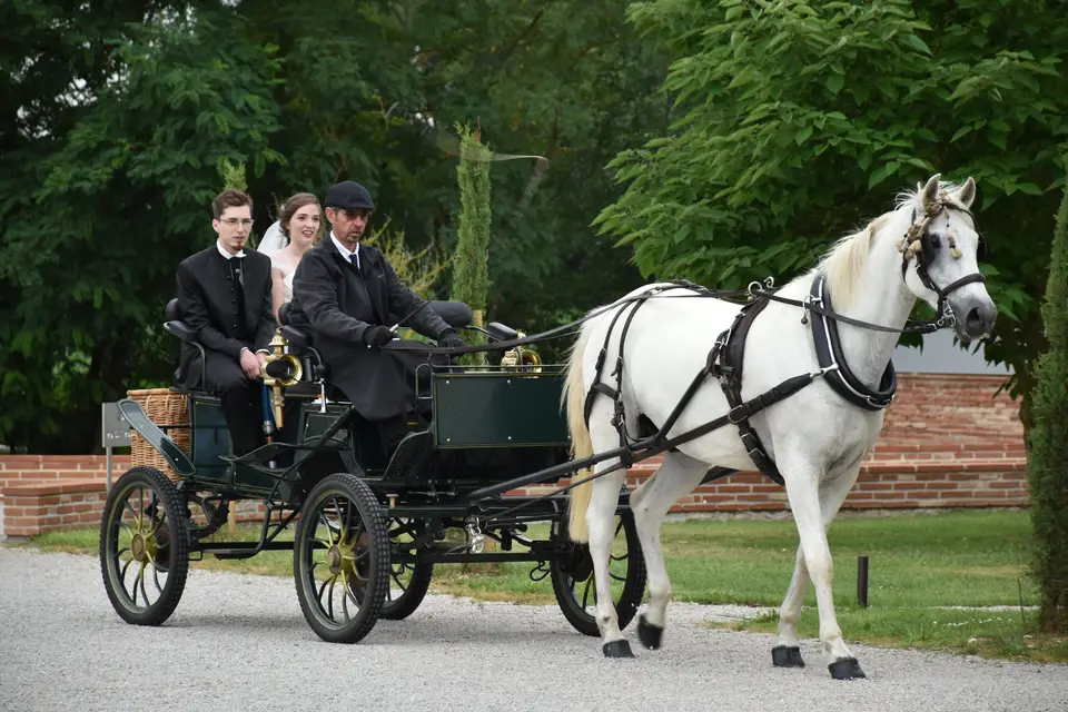 Les Attelages du Sud-Ouest — photo 8