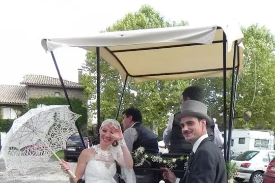 Les Attelages du Sud-Ouest — photo 1