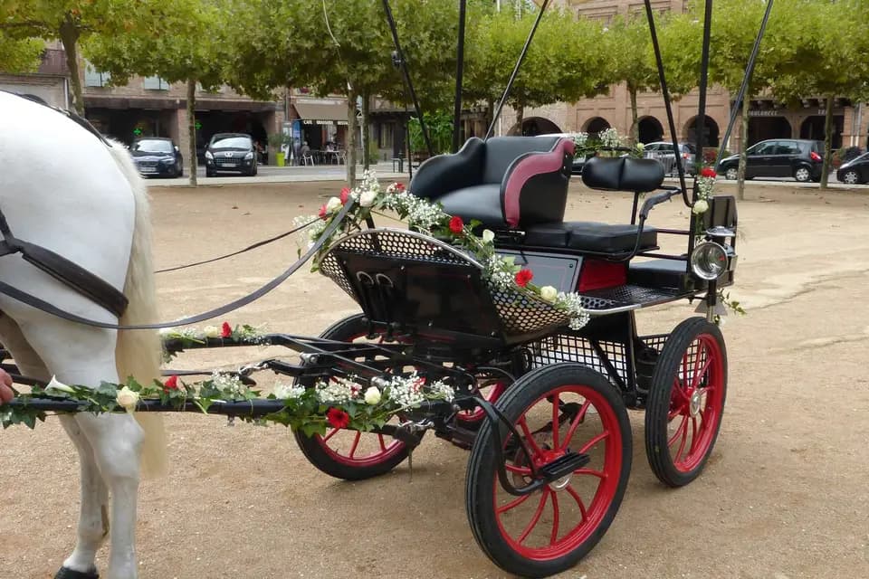 Les Attelages du Sud-Ouest — photo 5