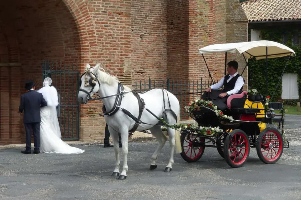 Les Attelages du Sud-Ouest