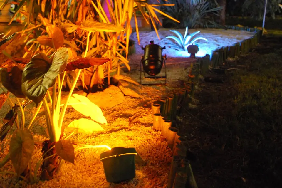 VIP Organisations — photo 3