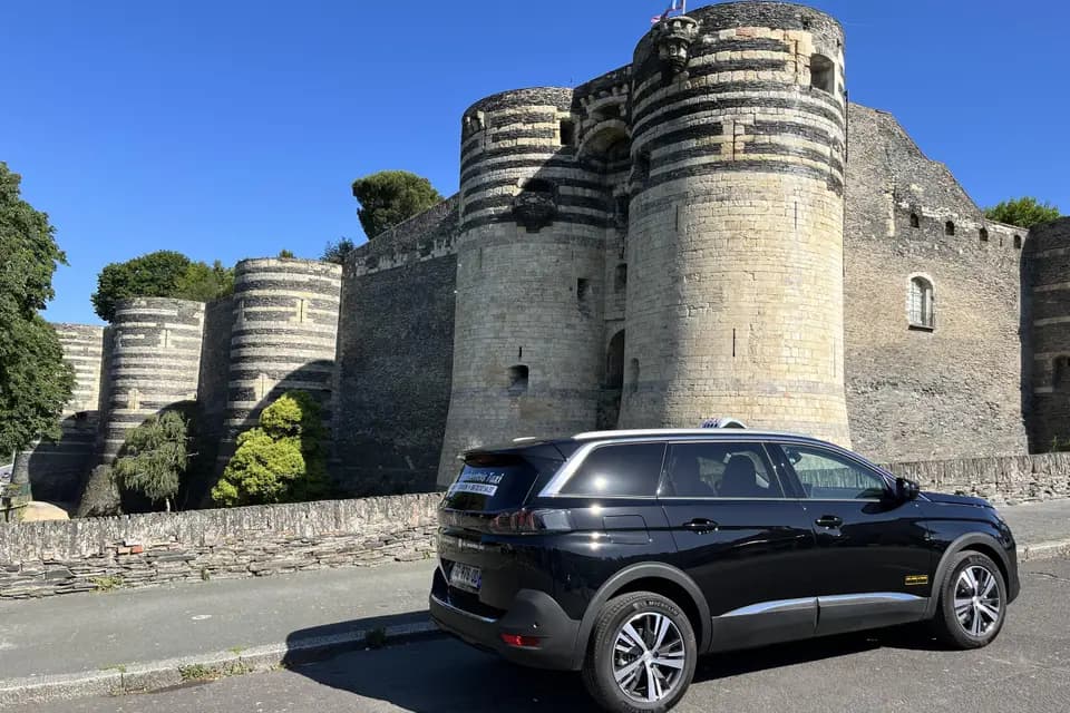 Allo Lambertois Taxi — photo 3