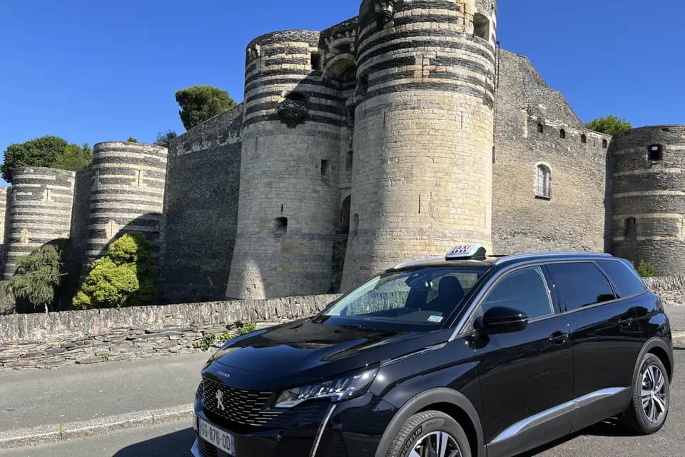 Allo Lambertois Taxi — photo 8