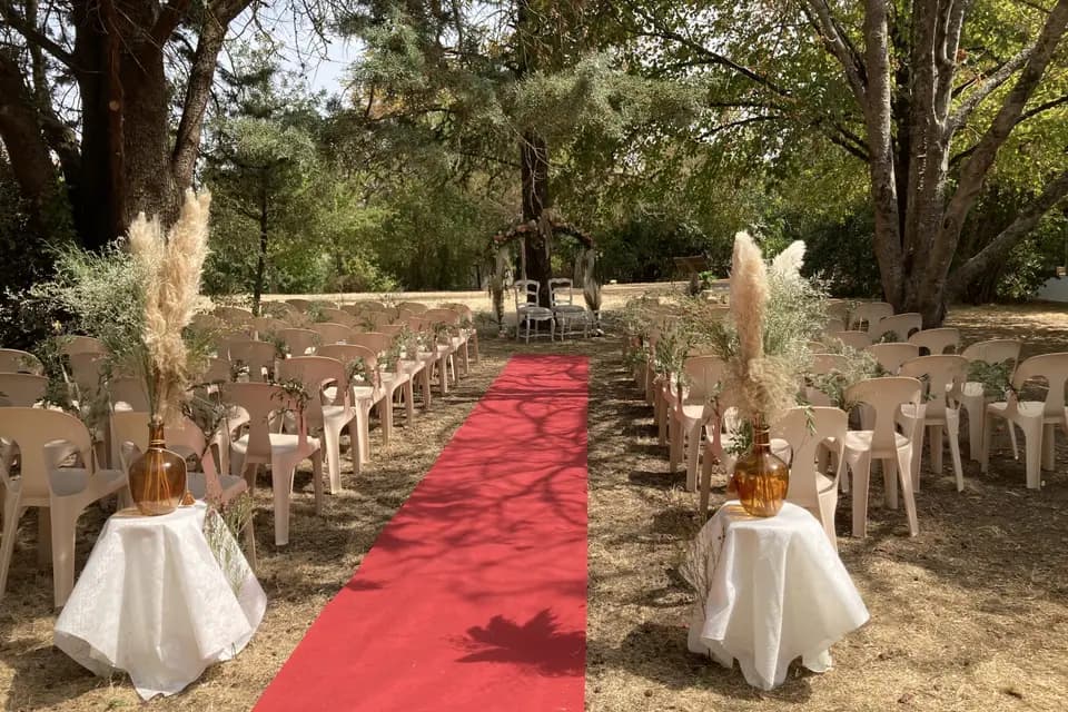 Terre Blanche — photo 5