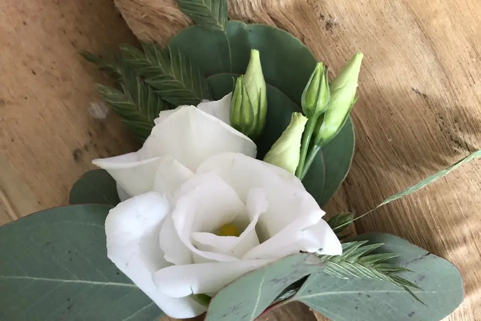 Aux 4 Saisons — photo 6