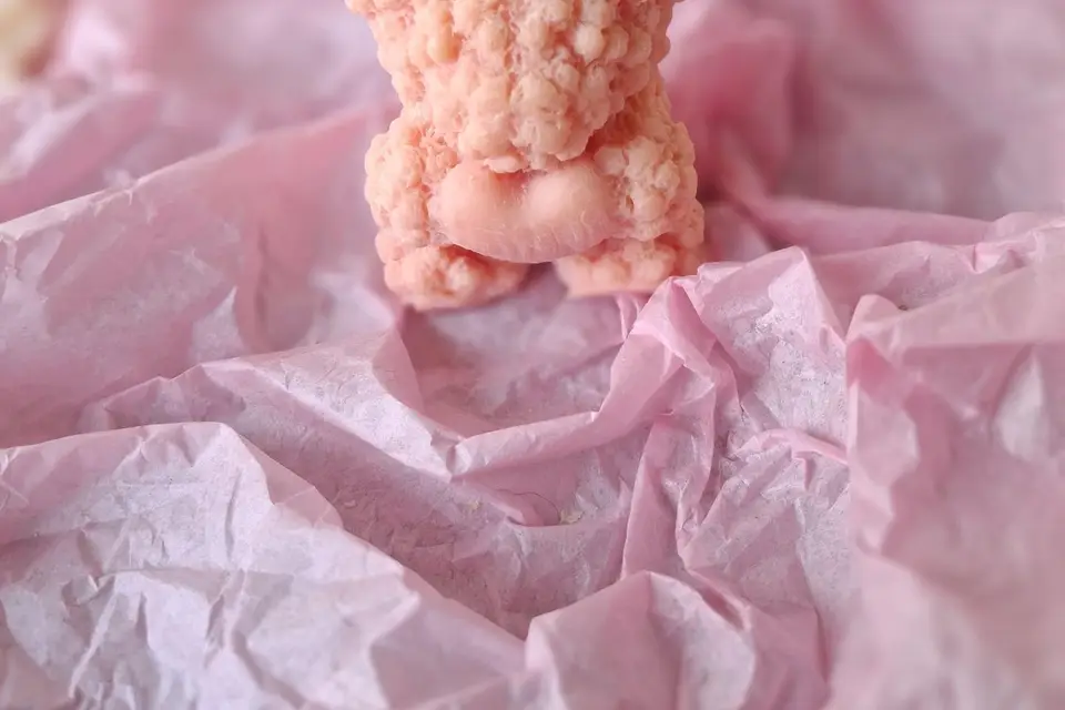 Elfie Bougie et Cie — photo 4