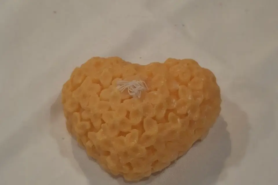 Elfie Bougie et Cie — photo 1