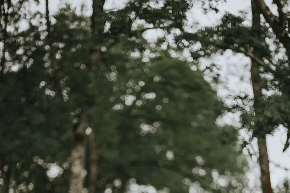 Flagrance — photo 8