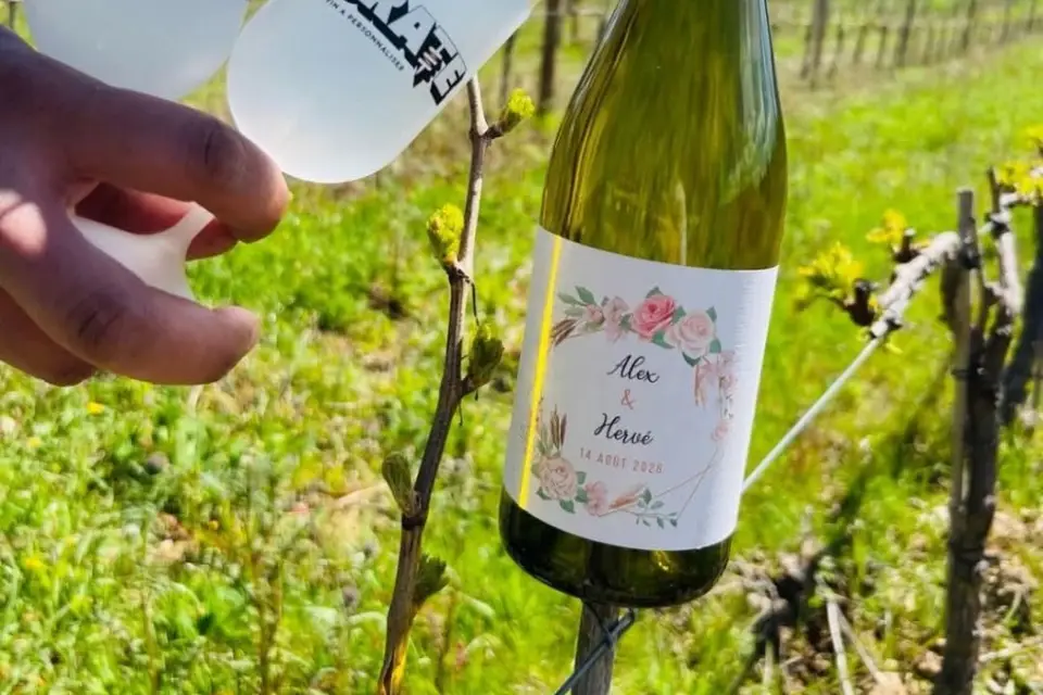 Pierre Baldauf — photo 3