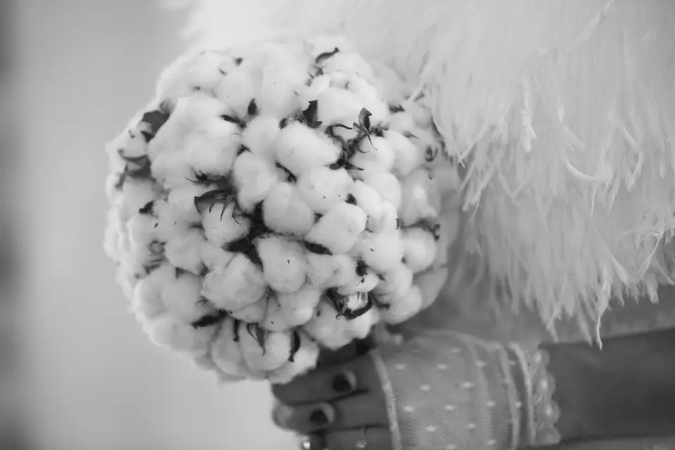 Maison Black Perle — photo 1