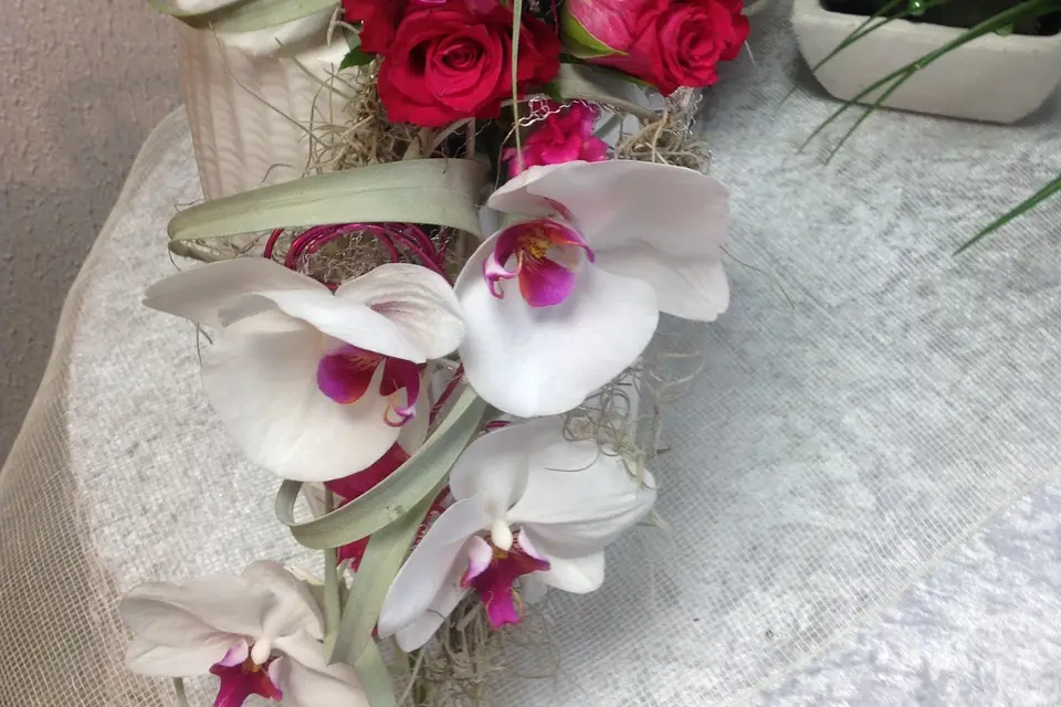 Passion d'art-mony — photo 8