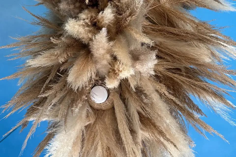 Mimosas sur le toit — photo 4