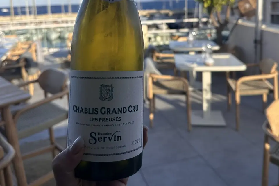 Mimosas sur le toit — photo 6