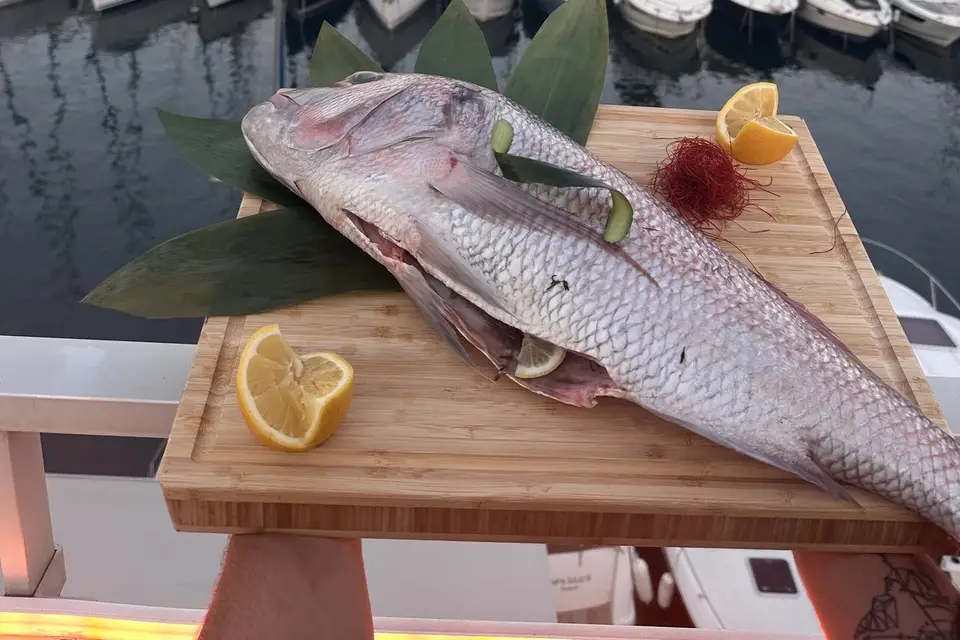 Mimosas sur le toit — photo 7