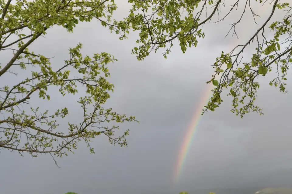 Jean Delmarty — photo 3