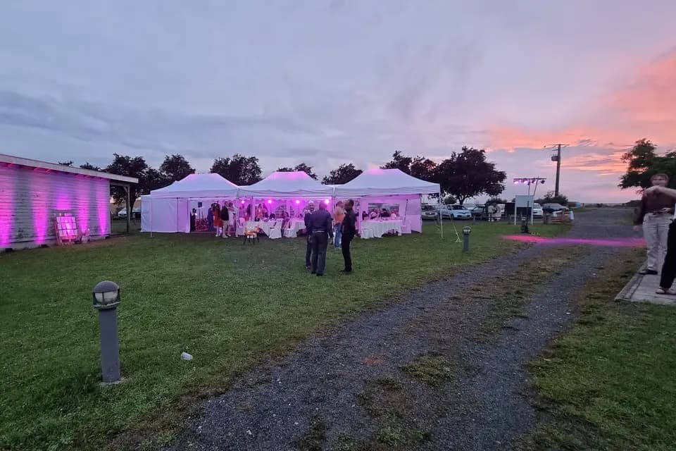 Cosmos 3000 Animation — photo 4