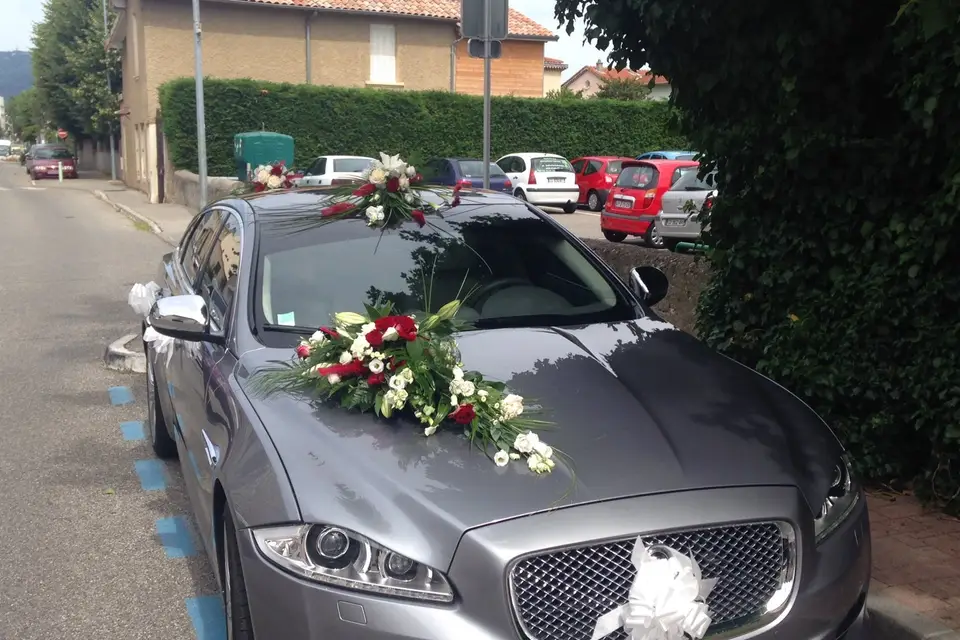 Lucky VIP — photo 7