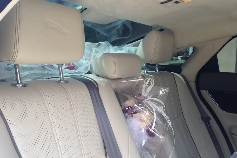 Lucky VIP — photo 3