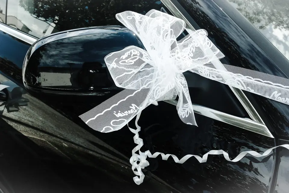 Starge Location — photo 6