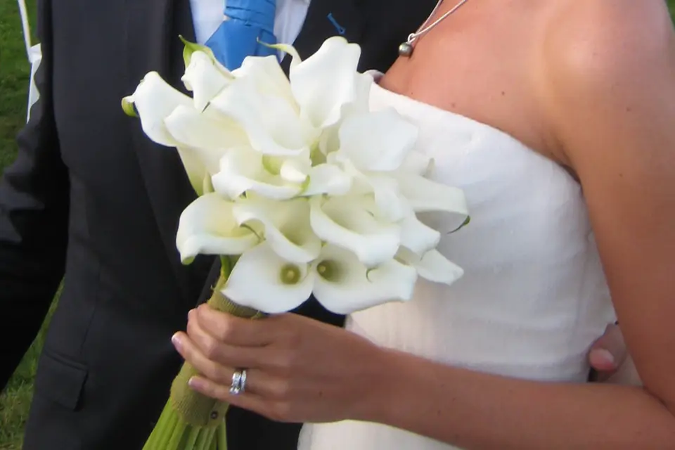 Fleurodet — photo 1