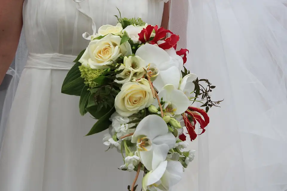 Fleurodet — photo 3