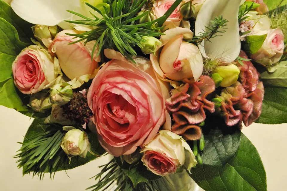 Fleurodet — photo 7