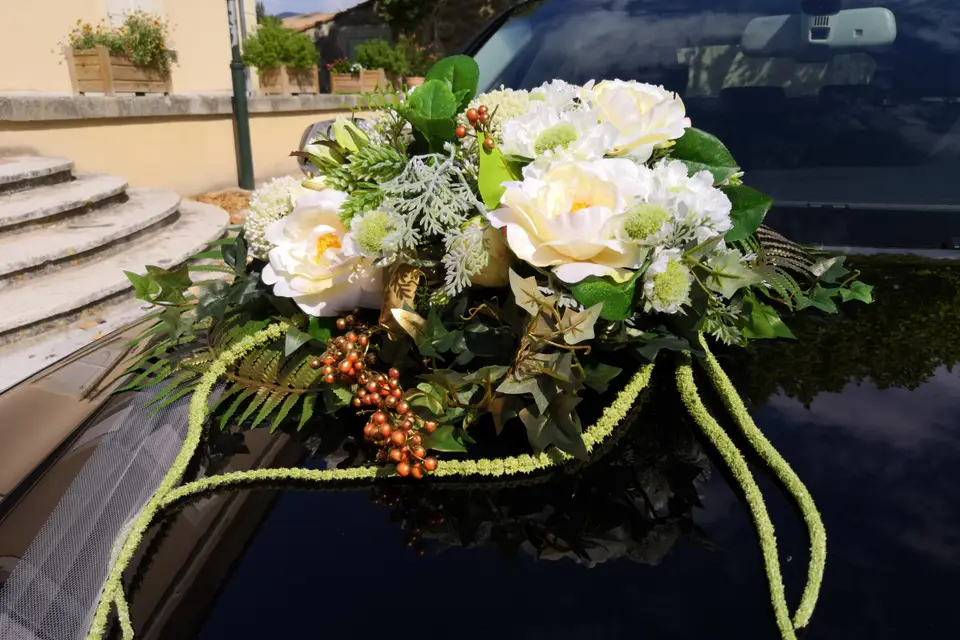 Starge Location — photo 5