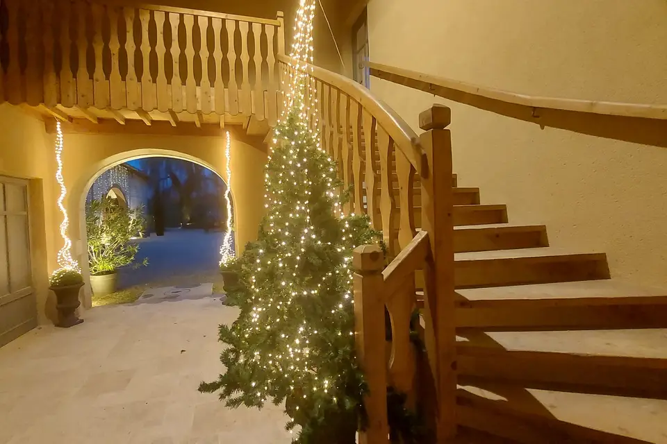 Domaine d'Amareins — photo 7