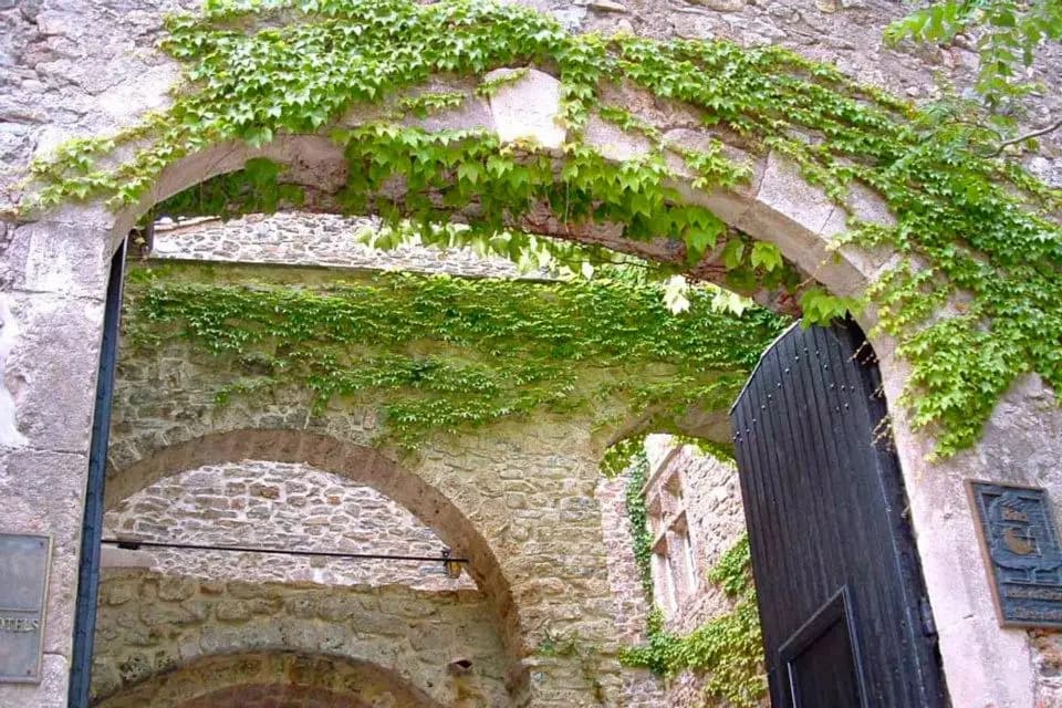 Chateauzen — photo 4